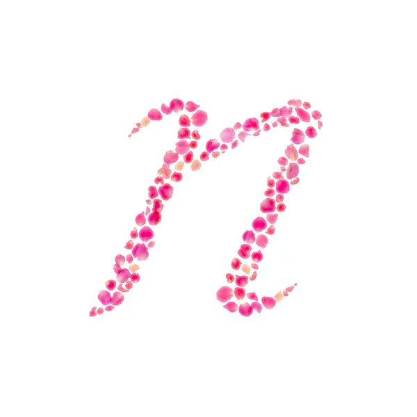 N Alfabeto compuesto con hojas de rosa aisladas en blanco — Foto de Stock