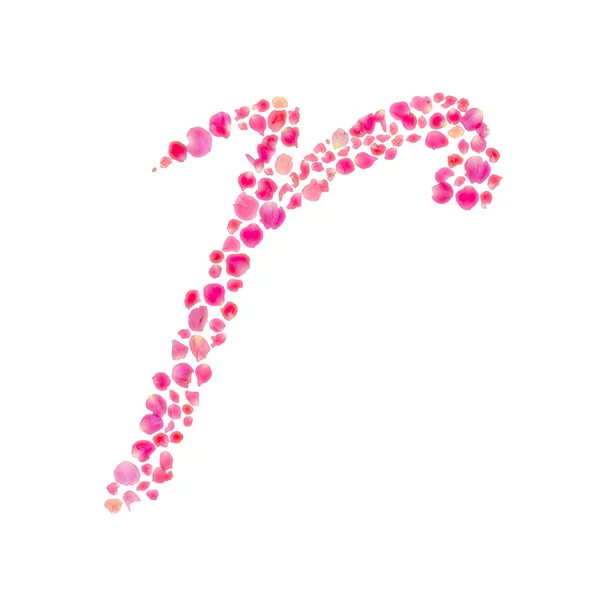 R Alfabeto compuesto con hojas de rosa aisladas en blanco — Foto de Stock
