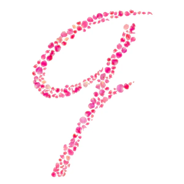 Q Alfabeto compuesto con hojas de rosa aisladas en blanco —  Fotos de Stock