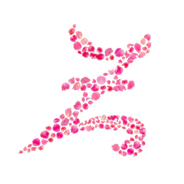 Alfabeto Z Compuesto con Hojas de Rosa Aisladas en Blanco — Foto de Stock
