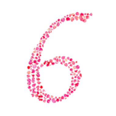 Altı numaralı gül yaprakları üzerinde beyaz izole ile oluşur.