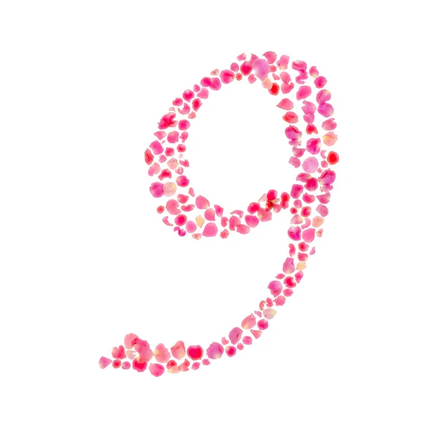Číslo devět složená s růžové listy izolované na bílém — Stock fotografie