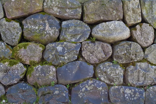 Parede de pedra — Fotografia de Stock