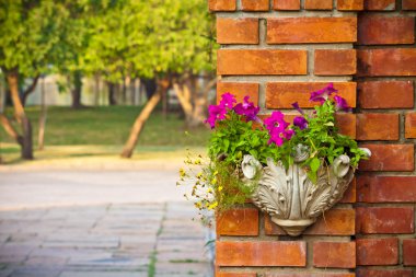 bir duvar yazısı çiçek