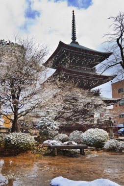 hida kokubunji Tapınağı Pagoda