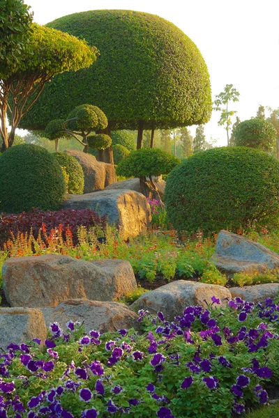Jardim de arbustos — Fotografia de Stock