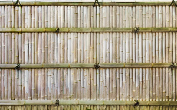 Cerca de bambu japonês — Fotografia de Stock