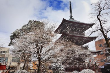Hida kokubunji tapınakta takayama