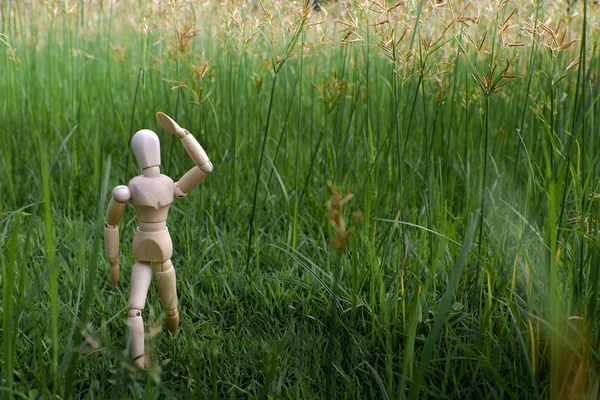 Een dummy hout verloren in een grasveld — Stockfoto