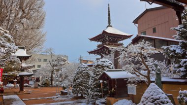Hida kokubunji tapınakta hida - takayama