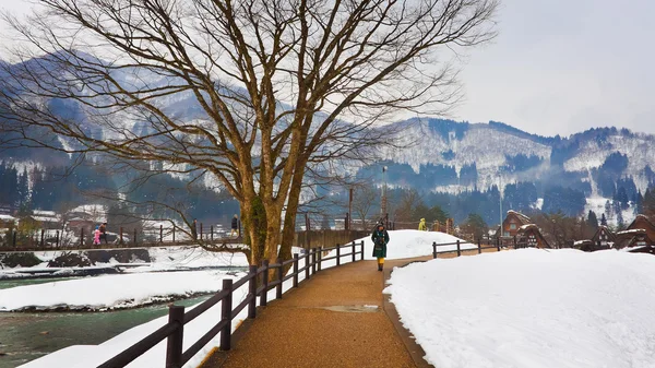 Shirakawago — Stockfoto