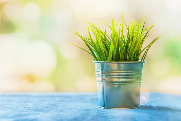 Decorative grass in a tin pot with bokeh in a home interior — Stock Photo, Image