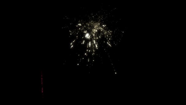 Rendering of 3D fireworks in PAL Full HD resolution — Stock Video