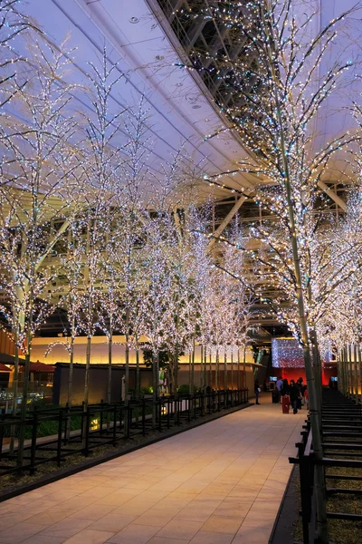 Tokio, Japón - 26 de noviembre de 2013: Luces e iluminaciones son de — Foto de Stock