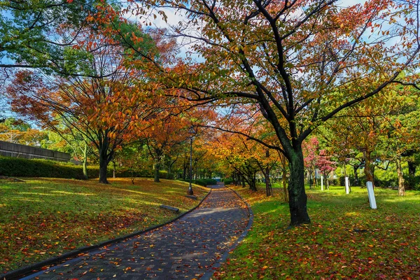 Herbstlaven im Hiroshima Central Park in Japan — Stockfoto