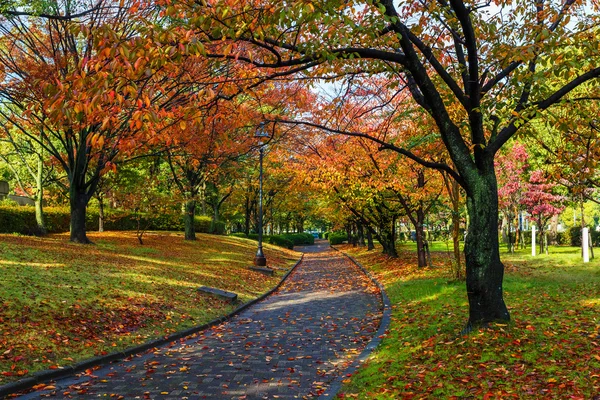 Lavori autunnali a Hiroshima Central Park in Giappone — Foto Stock