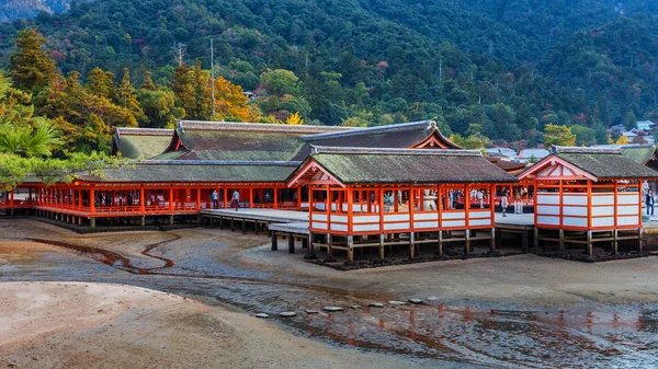 Itsukuşima jinja miyajima içinde — Stok fotoğraf