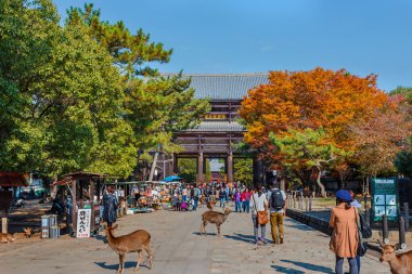 nara todaiji tapınağında nandaimon kapısı