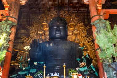 nara todaiji tapınağında büyük Buda (daibutsu)