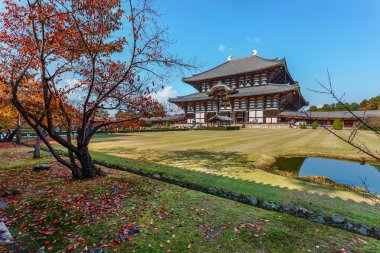 nara todaiji tapınağında büyük Buda Salonu