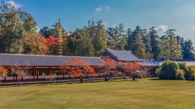 nara todaiji Tapınağı Duvar ve yol çevrili