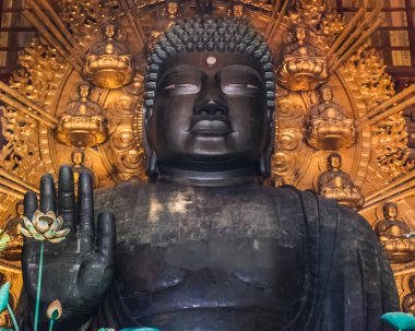 nara todaiji tapınağında büyük Buda Salonu