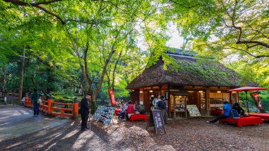 nara Parkı köşesinde koyo