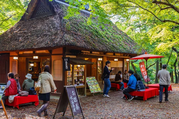 Koyo corner in Nara Park — Stock Photo, Image