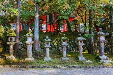 Kasuga taisha tapınak nara, Japonya