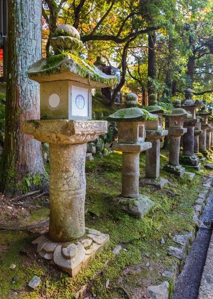 Kasuga taisha shrine nara, Японія — стокове фото