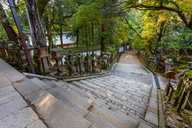 kasaga taisha tapınak içinde nara