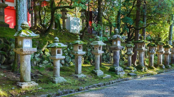 Lanternas de pedra no Santuário Kasuga Taisha em Nara — Fotografia de Stock