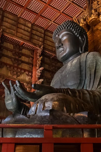Nara, Japonya - 16 Kasım 2013: büyük Buda kabul edilir