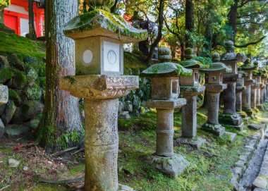 kasuga taisha tapınak içinde nara taş fenerler