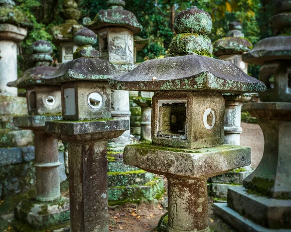 Kamienne latarnie w kasuga taisha w nara — Zdjęcie stockowe