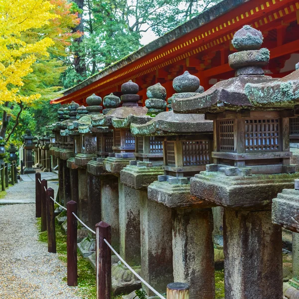 在春日寺在古都奈良的石灯笼 — 图库照片