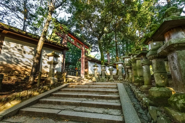 Santuario Kasuga Taisha a Nara — Foto Stock