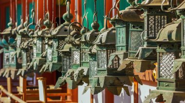 kasuga taisha içinde nara bronz fenerler