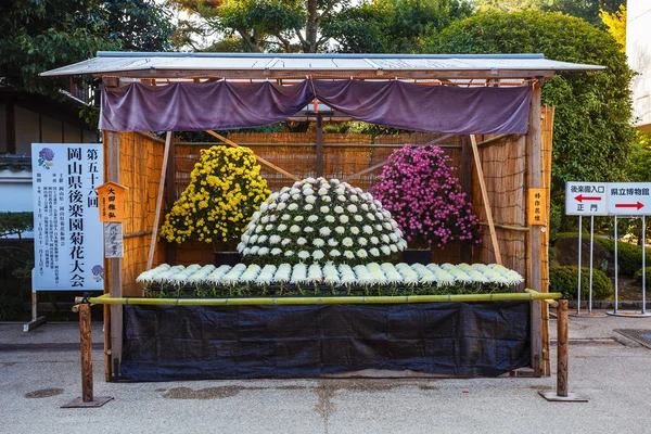 Chryzantémový festival v korakuen garden v okayama — Stock fotografie