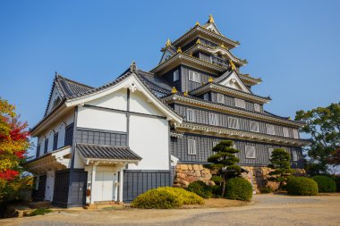Okayama kale ya okayama kalede karga