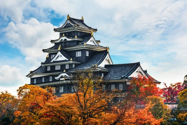 Okayama kale ya okayama kalede karga — Stok fotoğraf