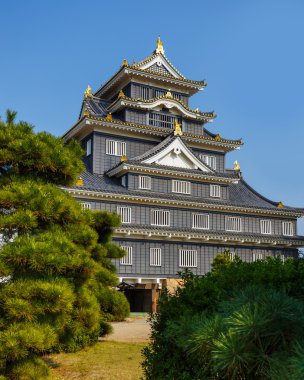 Okayama kale ya okayama kalede karga