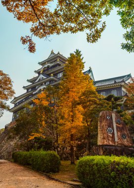 Okayama kale ya okayama kalede karga