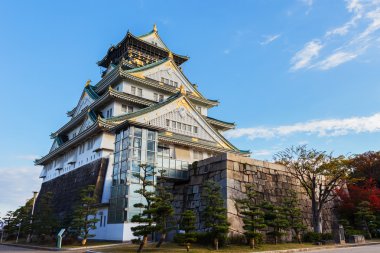 Japonya'nın Osaka Kalesi ile sonbahar yaprakları