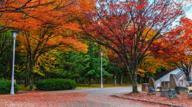 Osaka Kalesi Bahçe sonbaharda Japonya