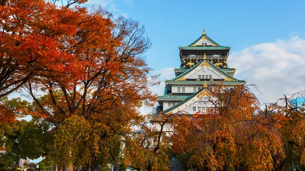 Osaka hrad s podzimní listí v Japonsku — Stock fotografie