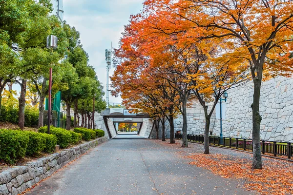 Parque do castelo de Osaka , — Fotografia de Stock