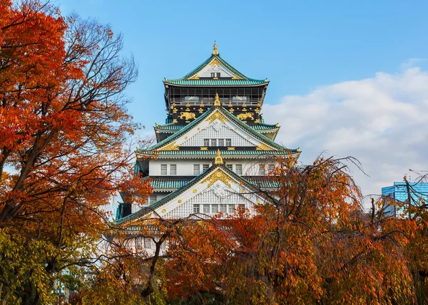 大阪城堡与秋天树叶在秋天 — 图库照片