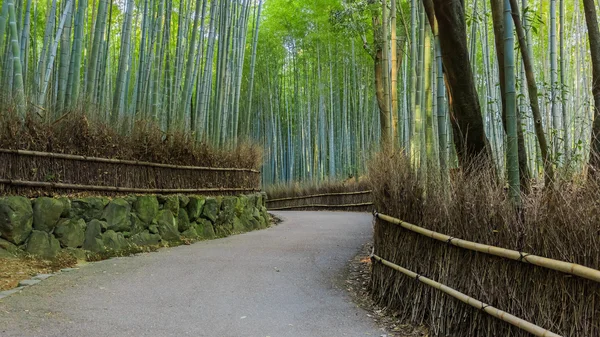 Chikurin-nie-michi (bambusowy gaj) w Arashiyama w Kioto — Zdjęcie stockowe