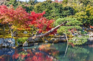 tenryuji sogenchi su birikintisi bahçe UNESCO Dünya Mirası Kyoto